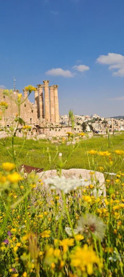 Cardostudio Hotell Jarash Exteriör bild