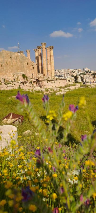Cardostudio Hotell Jarash Exteriör bild