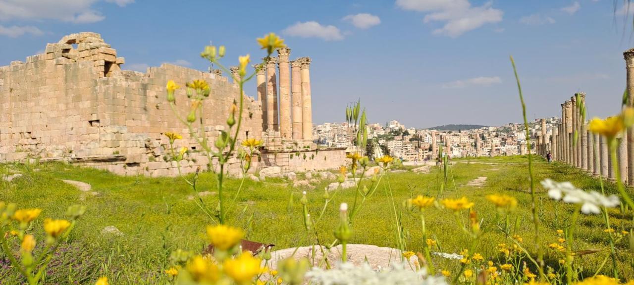 Cardostudio Hotell Jarash Exteriör bild