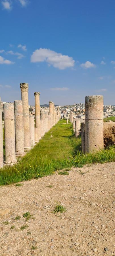 Cardostudio Hotell Jarash Exteriör bild